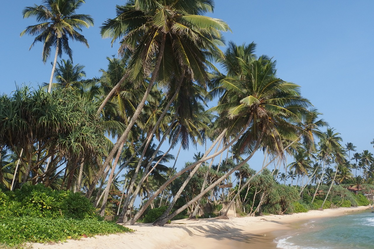Visa Sri Lanka